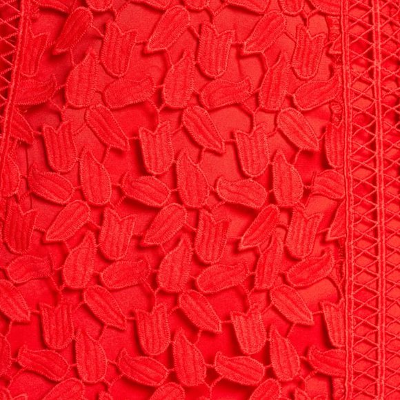 PRICE DROP SUPER SEXY $55 NWT S6 BARDOT LACE DRESS IN RED - Picture 7 of 16